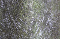 Culfordheath fibreglass roof work